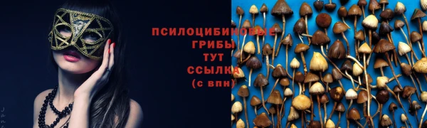 амф Дмитров