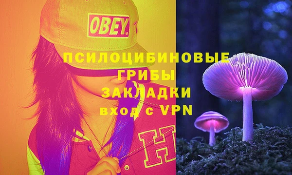 mix Дмитриев