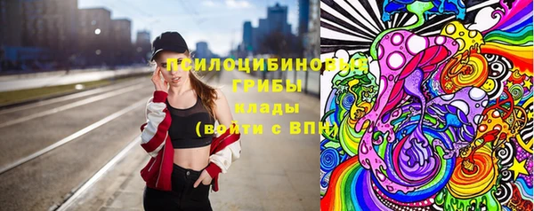 амф Дмитров