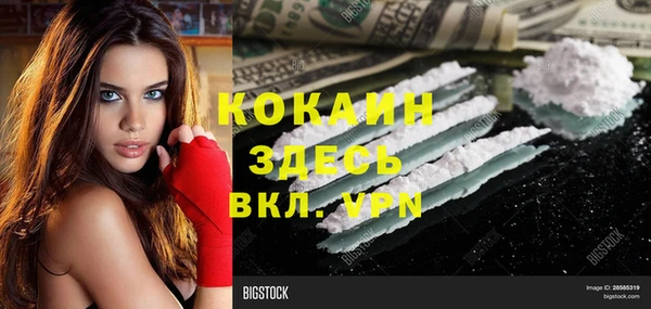 тгк Дмитровск