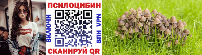 Галлюциногенные грибы MAGIC MUSHROOMS  дарнет шоп  Евпатория 